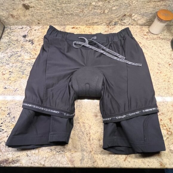 Men’s, Large, Giant, Mesh-lined Core Baggy Shorts - Picture 3 of 5